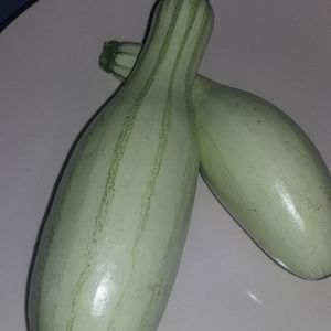 Meet your Posher, Fanny